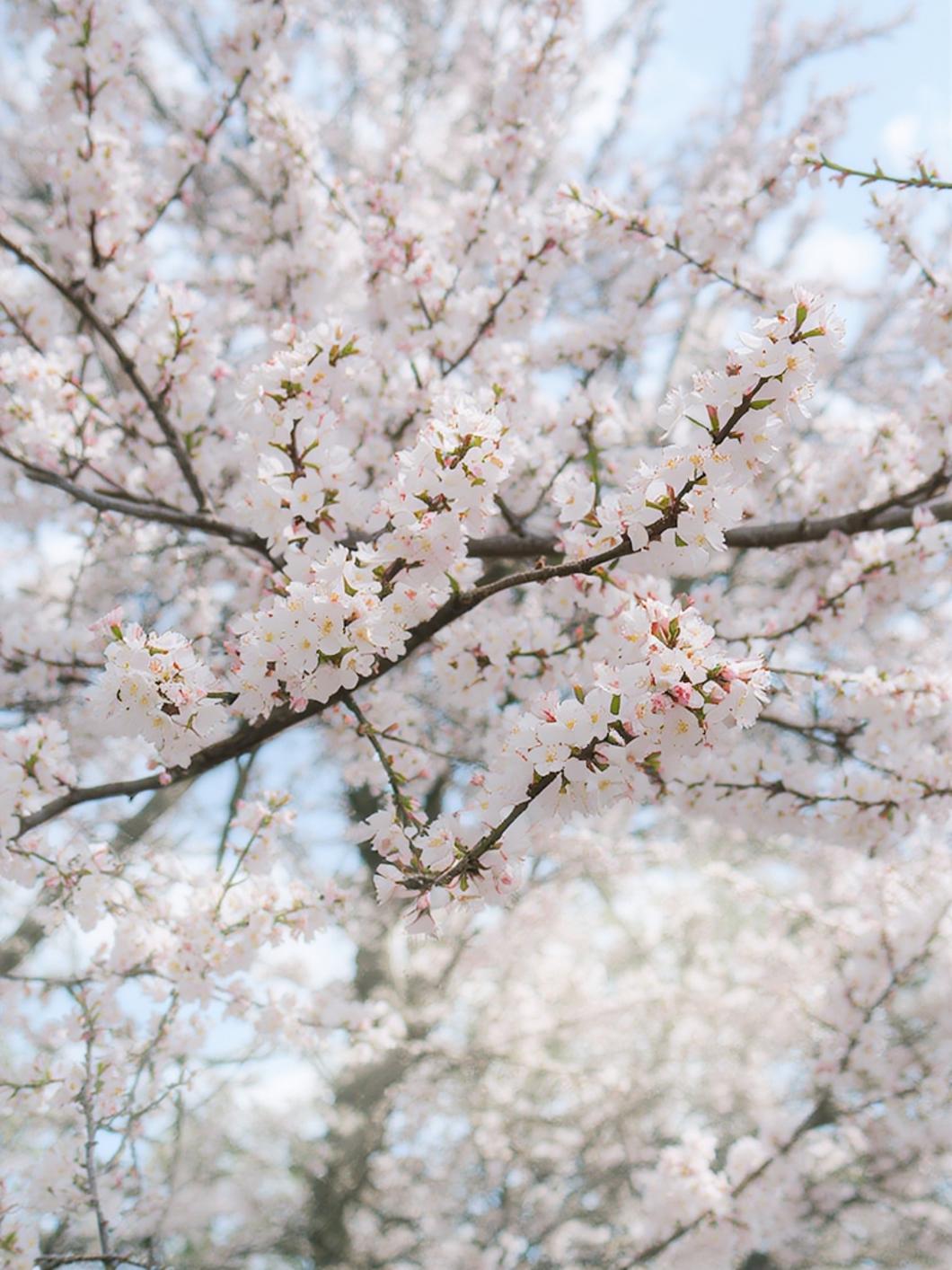 iptv monatlich kaufen – 24/7 Streaming für nur 9,99€